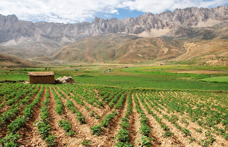 گالری عکس ایران 1